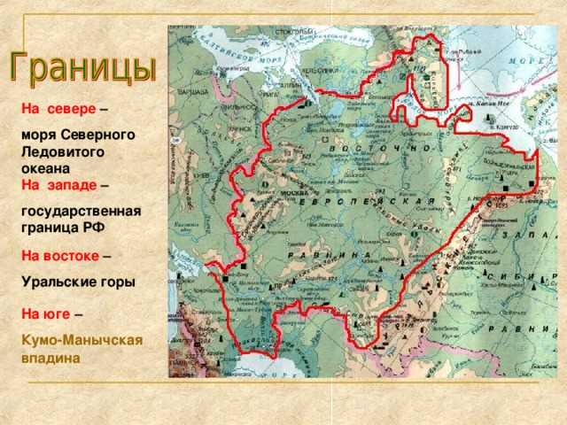 Биоразнообразие