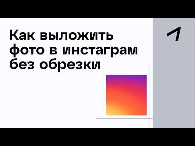 Выбор
