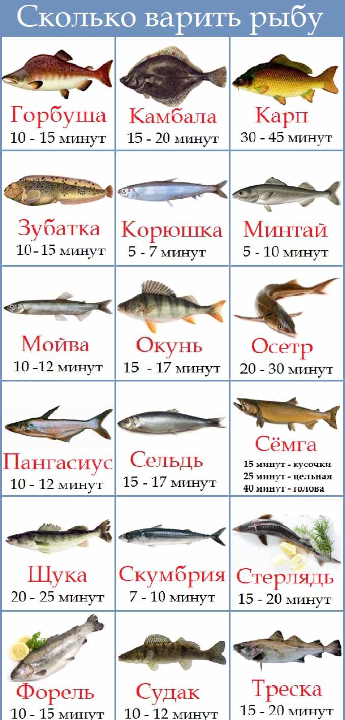 Основные