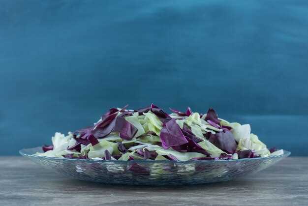 Практические советы по приготовлению вкусных и полезных салатов с краснокочанной капустой