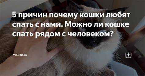 Преимущества