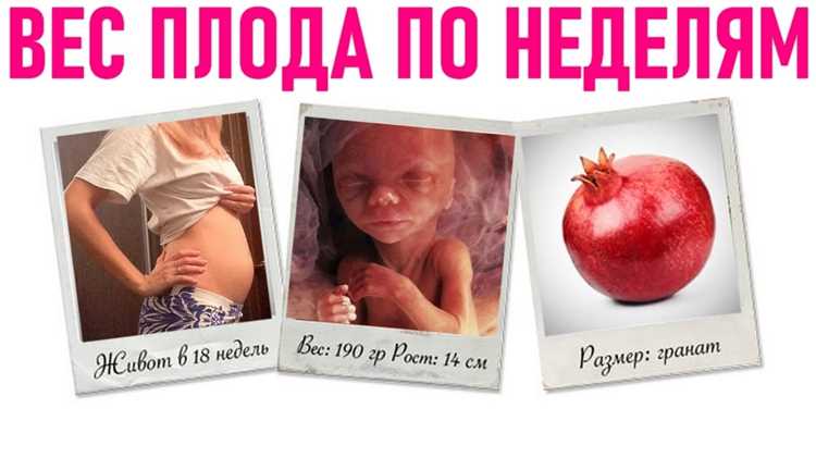 Последствия недостатка массы для развития плода