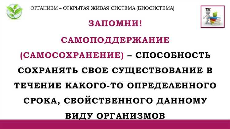 Понятие