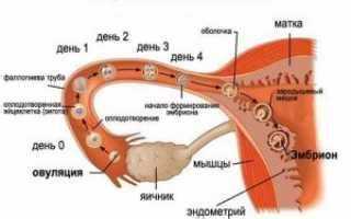 Проверенные методы отслеживания изменений выделений