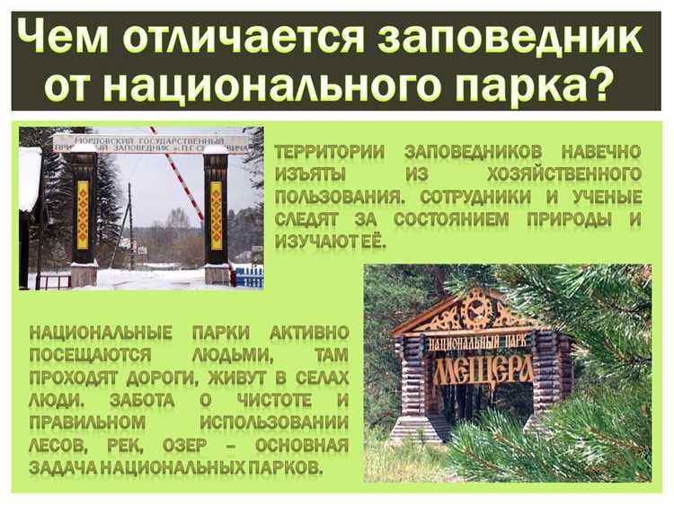 Будущее