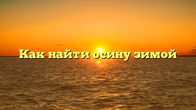 Как найти осину зимой