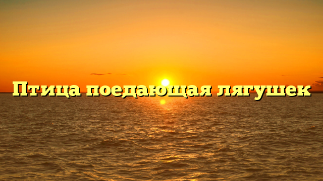 Птица поедающая лягушек